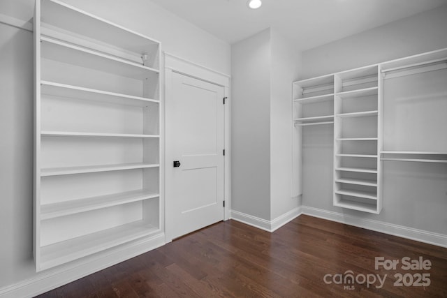 walk in closet featuring wood finished floors