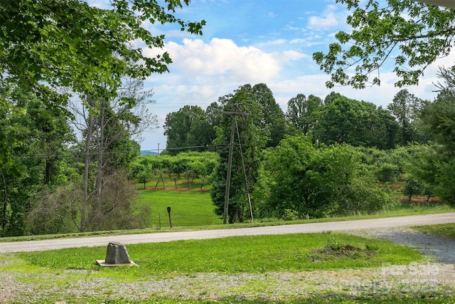 843 Deep Gap Loop Rd, Flat Rock, NC 28731 - view of property's community with a lawn