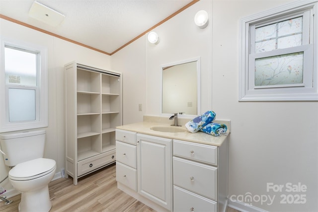843 Deep Gap Loop Rd, Flat Rock, NC 28731 - bathroom with vanity, toilet, wood finished floors, and ornamental molding