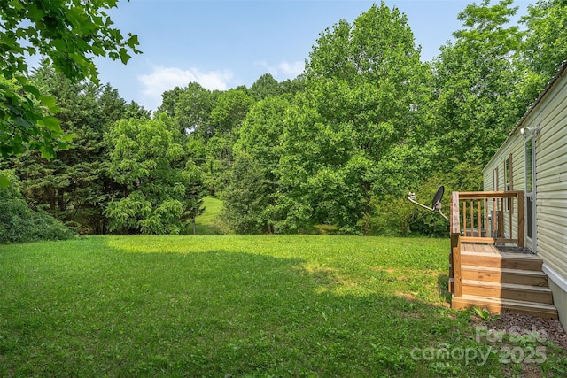 843 Deep Gap Loop Rd, Flat Rock, NC 28731 - view of green lawn