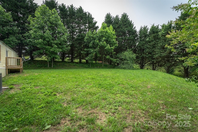 843 Deep Gap Loop Rd, Flat Rock, NC 28731 - view of grassy yard