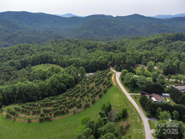 843 Deep Gap Loop Rd, Flat Rock, NC 28731 - bird's eye view of a heavily wooded area and a mountain backdrop