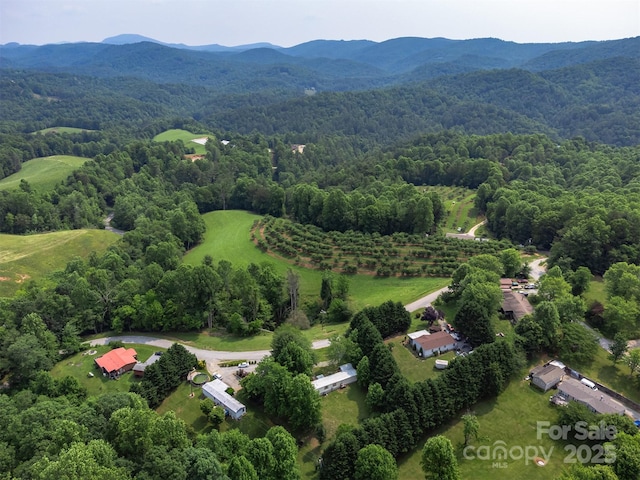 843 Deep Gap Loop Rd, Flat Rock, NC 28731 - aerial view of a heavily wooded area and a mountainous background