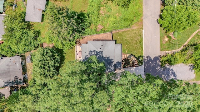 124 Dodge St, Asheville, NC 28803 - bird's eye view