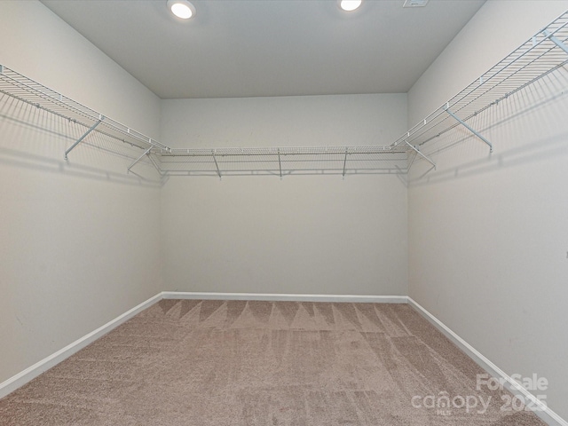 walk in closet with light colored carpet