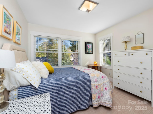 bedroom with carpet