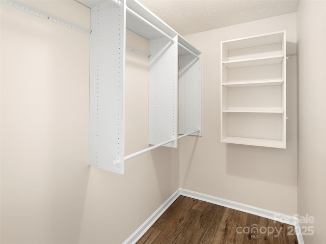 walk in closet featuring dark wood-style flooring