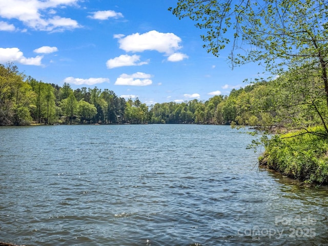 1973 Buffalo Creek Rd, Lake Lure, NC 28746 - property view of water with a wooded view