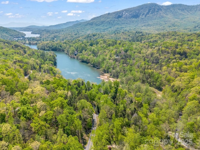 1973 Buffalo Creek Rd, Lake Lure, NC 28746 - aerial view featuring a water and mountain view and a wooded view