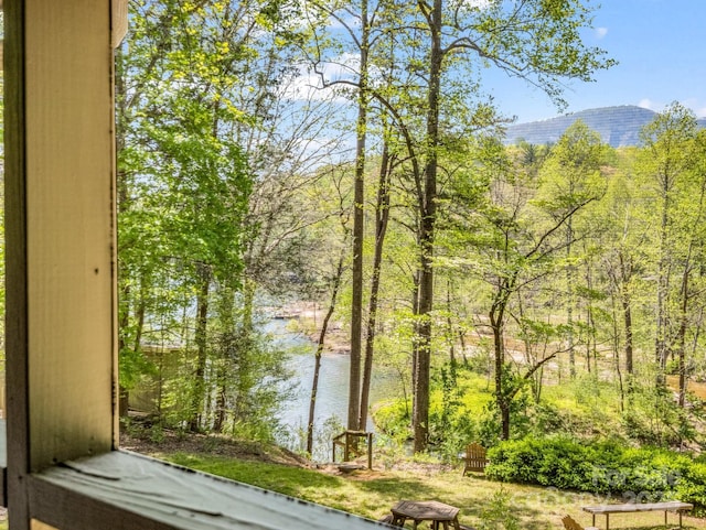 1973 Buffalo Creek Rd, Lake Lure, NC 28746 - water view
