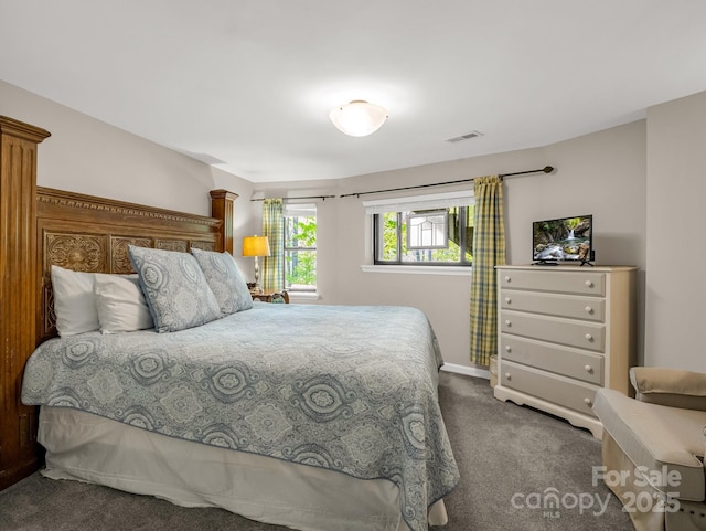 1973 Buffalo Creek Rd, Lake Lure, NC 28746 - bedroom with carpet floors, visible vents, and baseboards