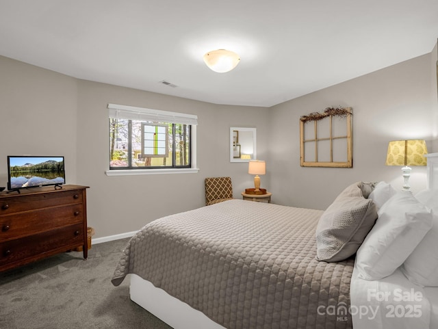 1973 Buffalo Creek Rd, Lake Lure, NC 28746 - bedroom featuring baseboards, visible vents, and carpet flooring