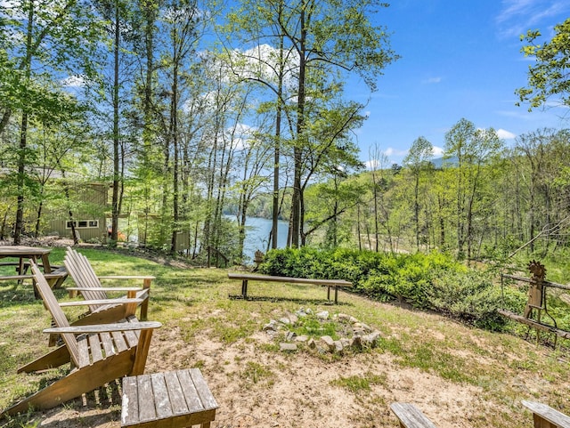 1973 Buffalo Creek Rd, Lake Lure, NC 28746 - view of property's community with a water view