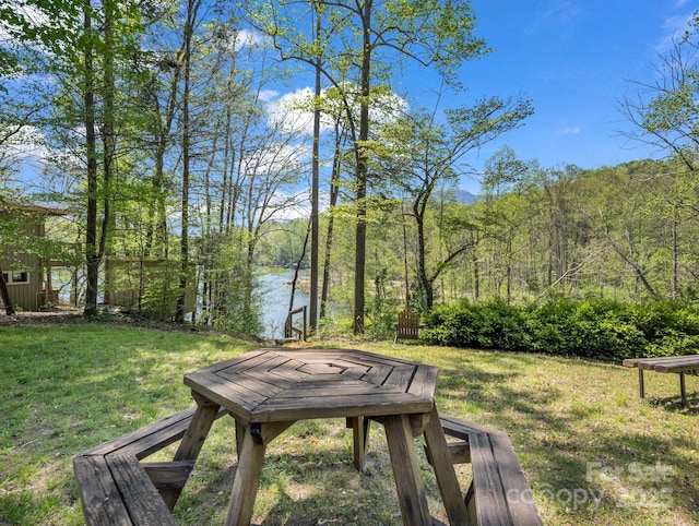 1973 Buffalo Creek Rd, Lake Lure, NC 28746 - view of yard featuring a water view