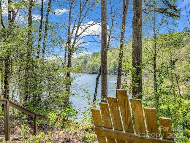 1973 Buffalo Creek Rd, Lake Lure, NC 28746 - water view with a wooded view