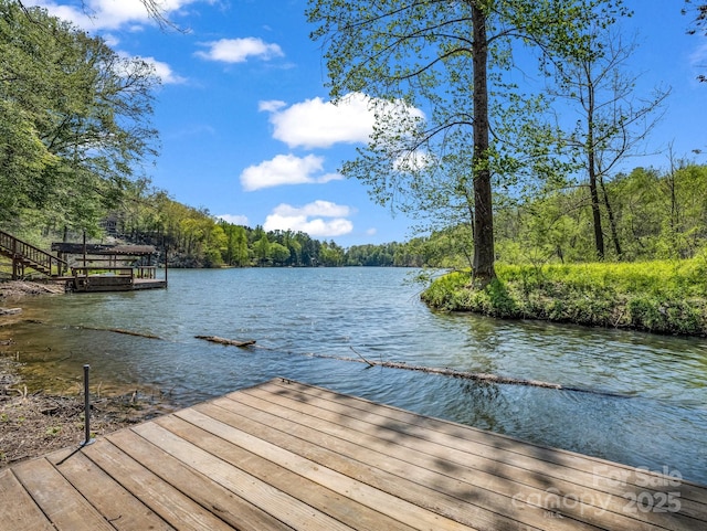 1973 Buffalo Creek Rd, Lake Lure, NC 28746 - dock area with a forest view and a water view