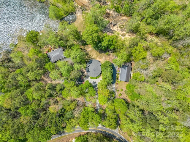 1973 Buffalo Creek Rd, Lake Lure, NC 28746 - birds eye view of property