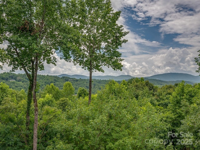 view of mountain feature featuring a forest view