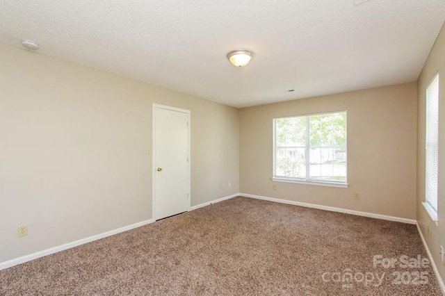 unfurnished room featuring carpet, baseboards, and a textured ceiling