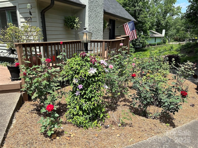 view of yard with a deck