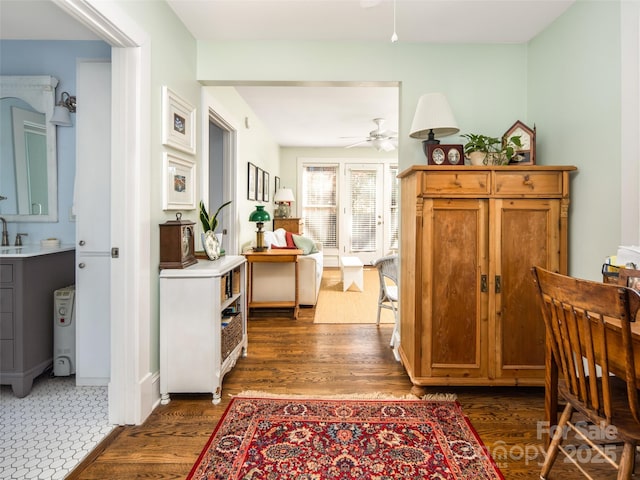 hall featuring dark wood-type flooring and a sink