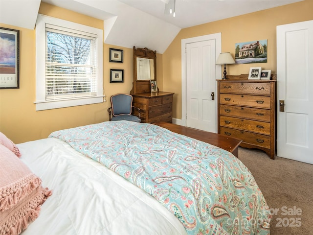 bedroom featuring carpet flooring and vaulted ceiling