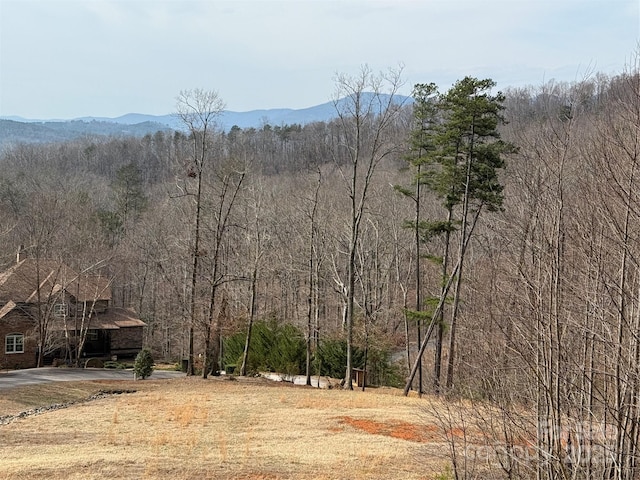 LOT236 Rock Ledge Dr, Lake Lure NC, 28746 land for sale