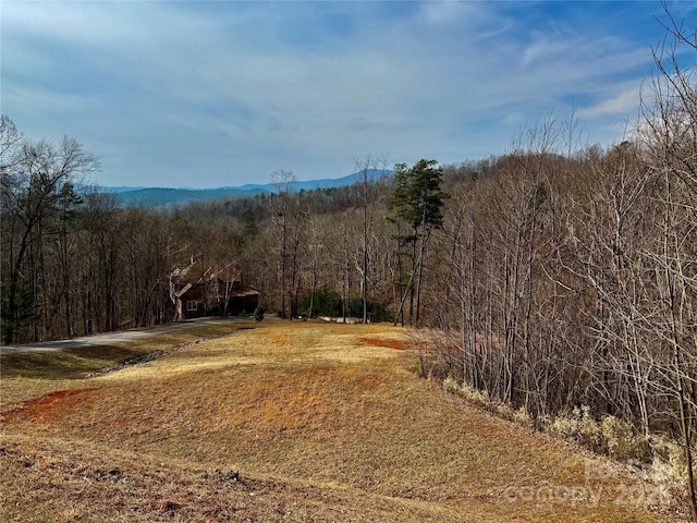 Listing photo 2 for LOT236 Rock Ledge Dr, Lake Lure NC 28746