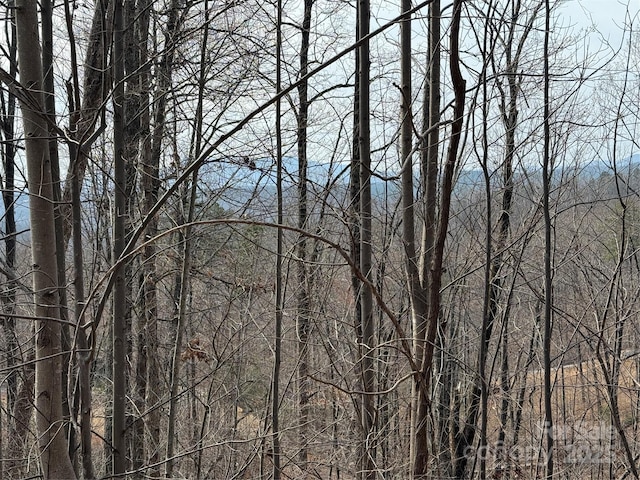 Listing photo 3 for LOT236 Rock Ledge Dr, Lake Lure NC 28746