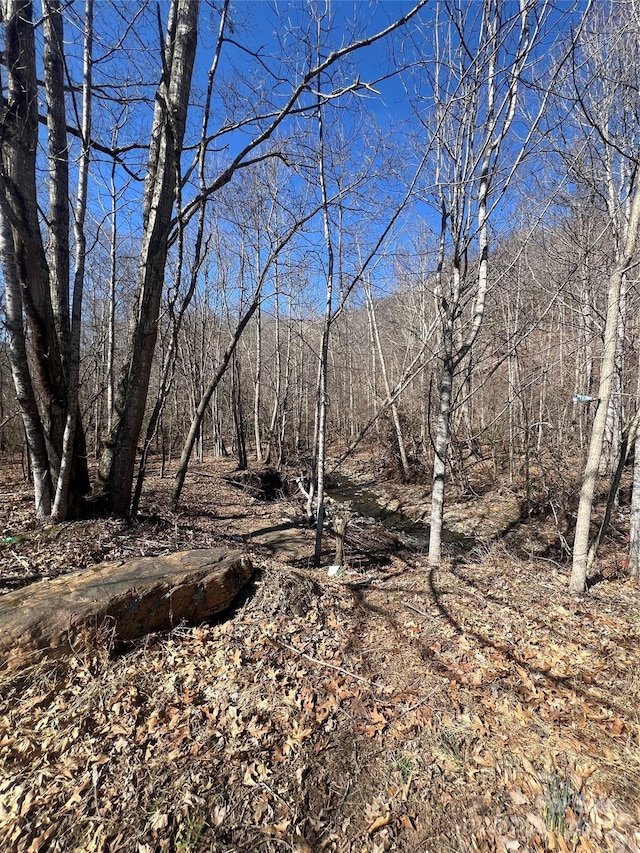 view of landscape with a forest view