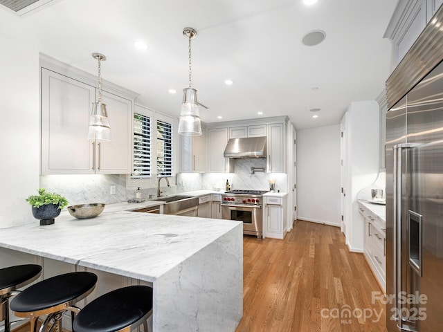 kitchen with premium appliances, light wood-style flooring, under cabinet range hood, a peninsula, and tasteful backsplash