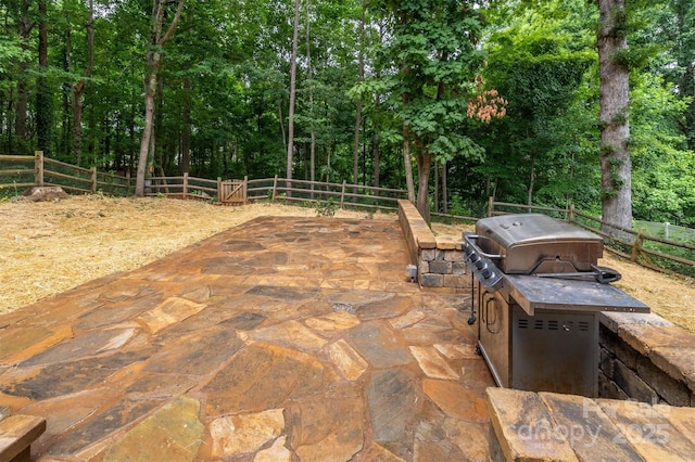 view of patio / terrace with fence and grilling area