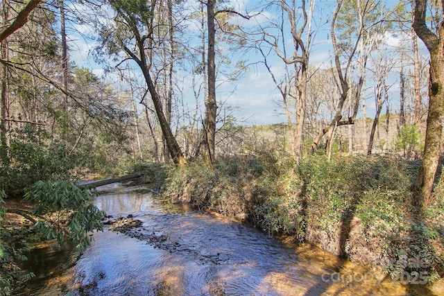 view of water feature featuring a view of trees