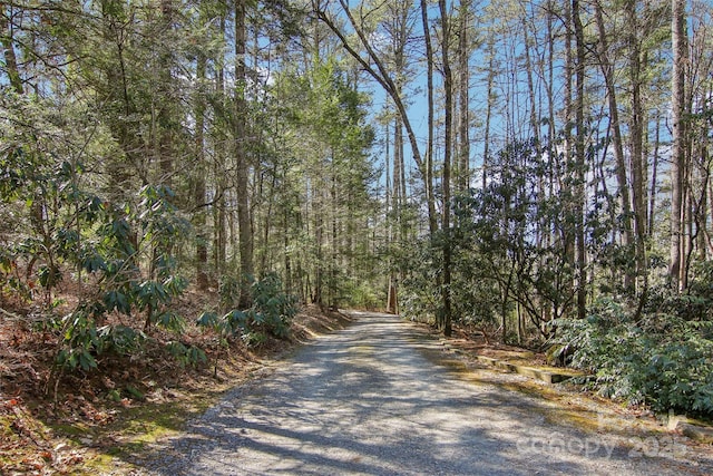 view of road with a forest view