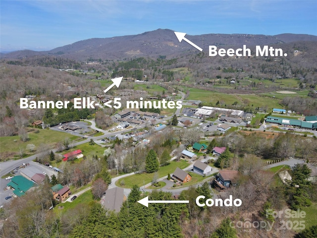 birds eye view of property with a mountain view