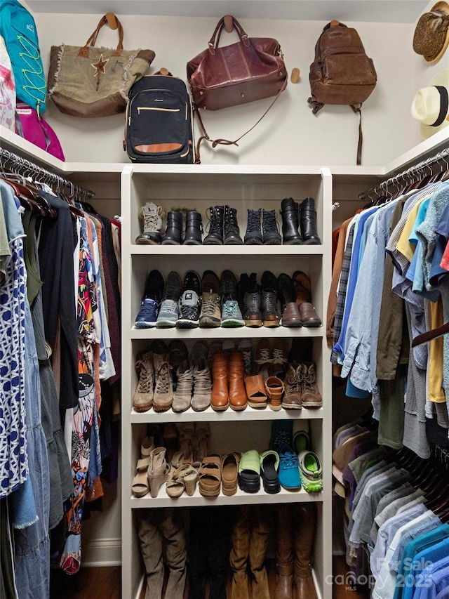 view of spacious closet