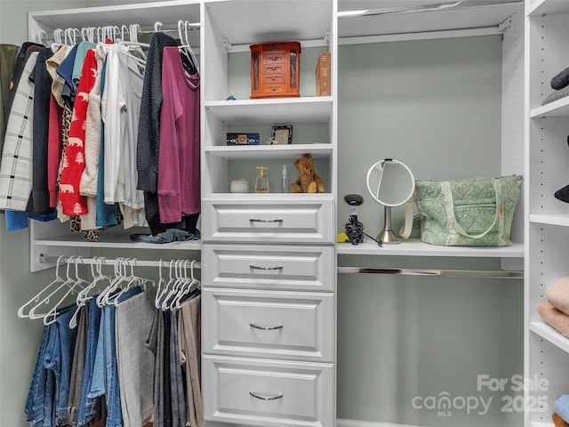 view of closet