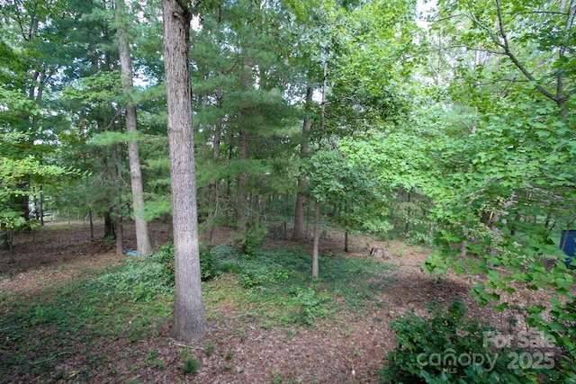 view of yard featuring a wooded view