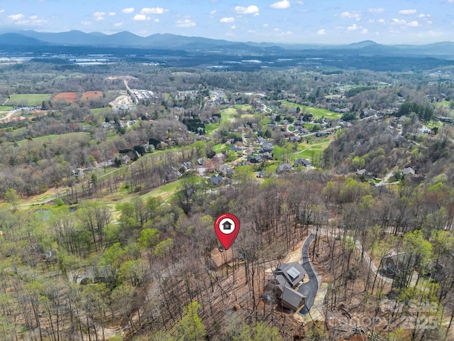 1116 High Vista Dr, Mills River, NC 28759 - photo 34