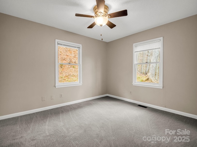 1116 High Vista Dr, Mills River, NC 28759 - photo 24