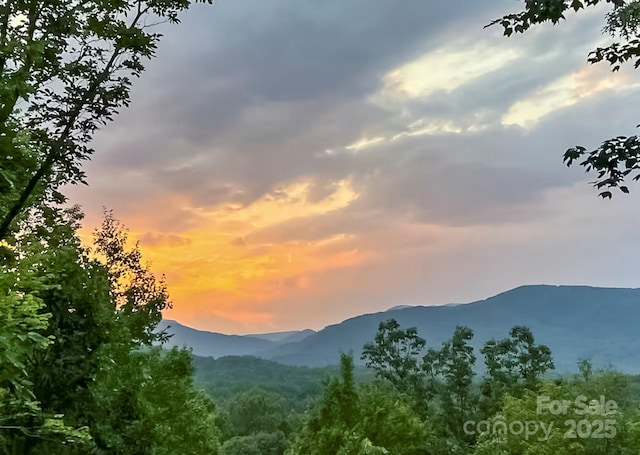 view of mountain feature