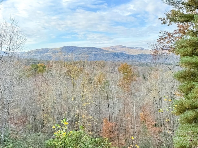 property view of mountains with a view of trees