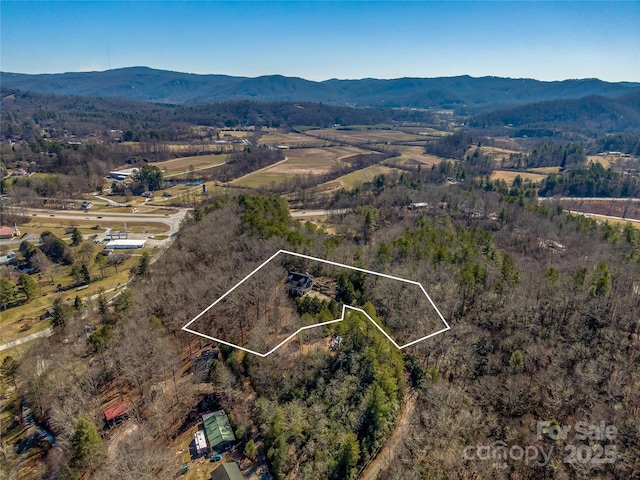 birds eye view of property featuring a mountain view