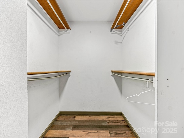 walk in closet featuring wood finished floors