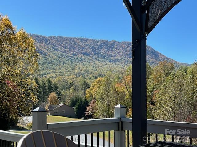 view of mountain feature with a wooded view