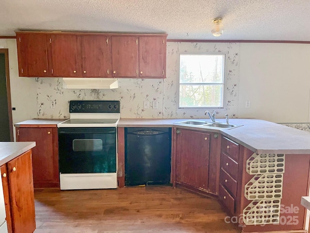 kitchen with white electric stove, under cabinet range hood, wood finished floors, a sink, and dishwasher