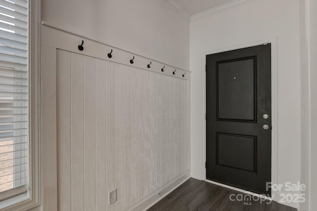 mudroom with crown molding and dark wood finished floors