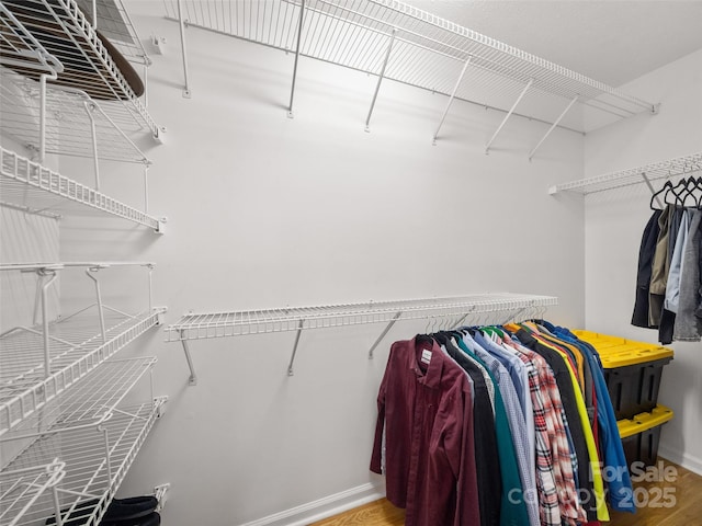 spacious closet featuring wood finished floors