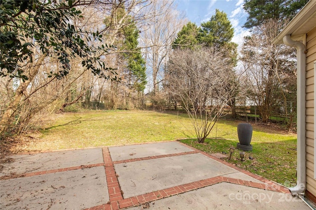 view of yard with a patio area