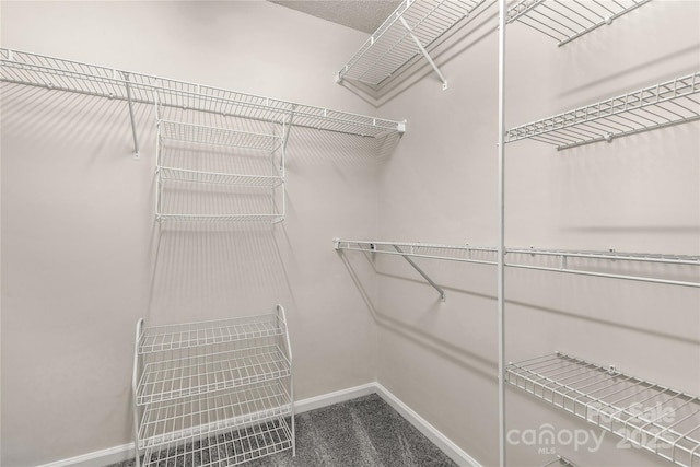 9138 Babbitt Way, Charlotte, NC 28216 - spacious closet with carpet